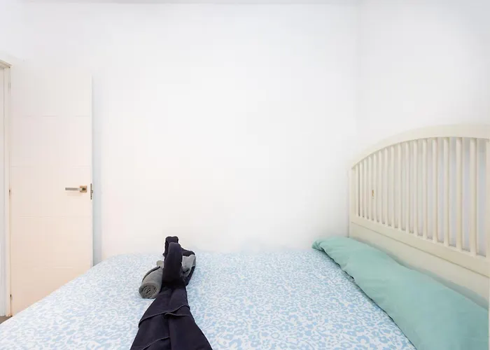 Ek Five Family プエルティト・デ・グイマル